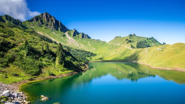 Psychologue pour adulte Bourg-en-Bresse